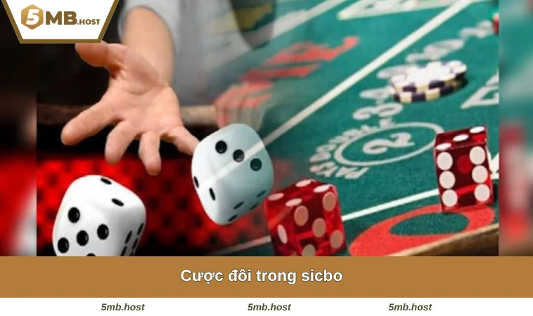 Cược đôi trong sicbo