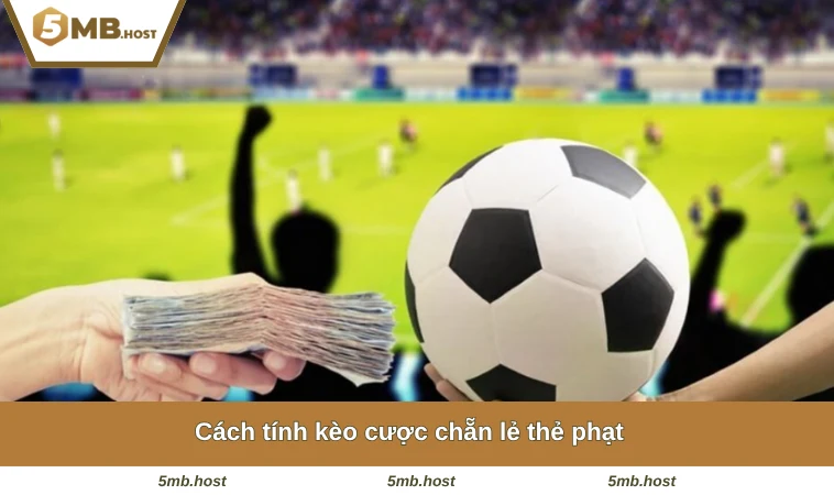 Cách tính kèo cược chẵn lẻ thẻ phạt