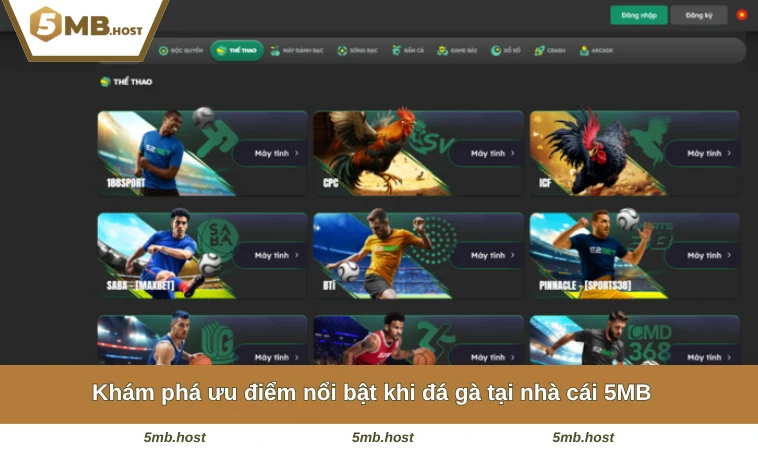 Khám phá ưu điểm nổi bật khi đá gà tại nhà cái 5MB