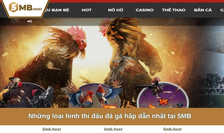 Những loại hình thi đấu đá gà hấp dẫn nhất tại 5MB