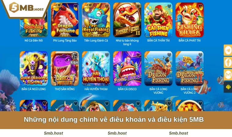 Những nội dung chính về điều khoản và điều kiện 5MB