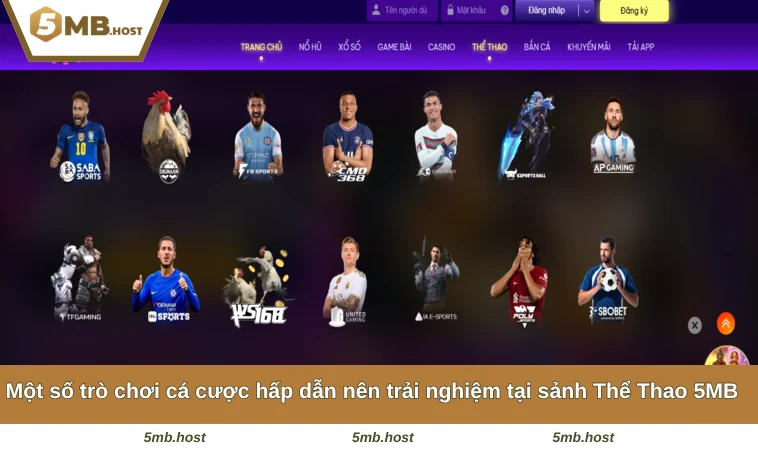 Một số trò chơi cá cược hấp dẫn nên trải nghiệm tại sảnh Thể Thao 5MB