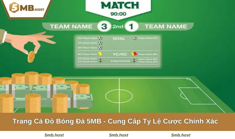 Trang Cá Độ Bóng Đá