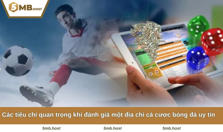 Các tiêu chí quan trọng khi đánh giá một địa chỉ cá cược bóng đá uy tín 