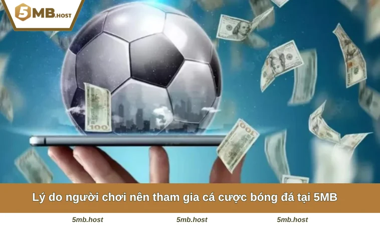 Lý do người chơi nên tham gia cá cược bóng đá tại 5MB 